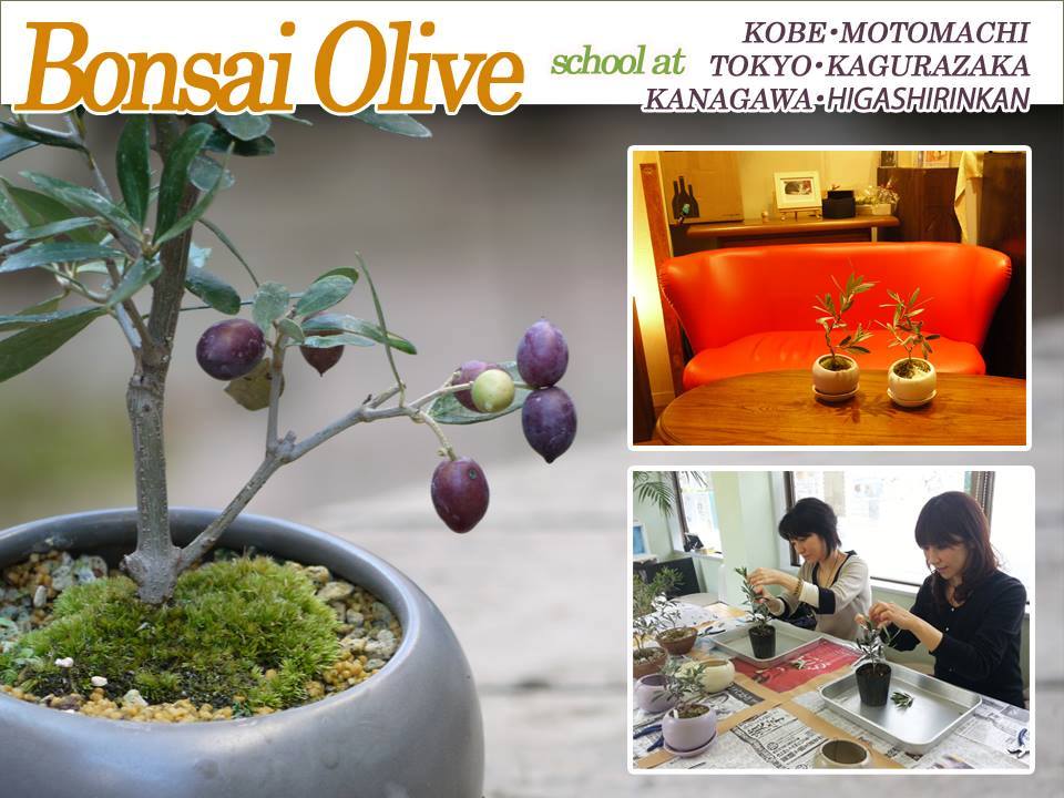 10441941_712450242148830_299224893369050303_n